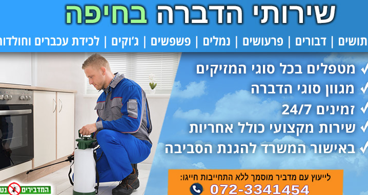 Read more about the article שירות הדברה בחיפה נגד חרקים שונים